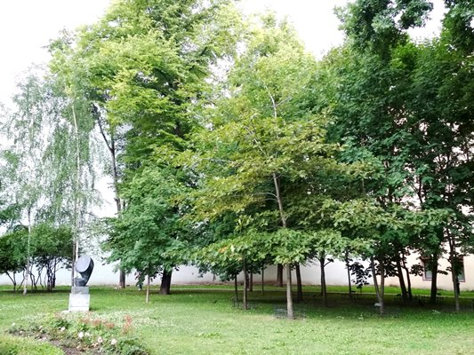 В сквере сегодня В сквере сегодня