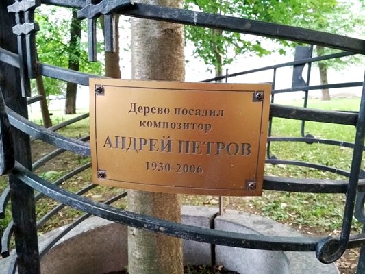 Дерево А.П. Петрова Дерево А.П. Петрова
